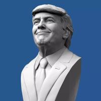 Donald Trump Bust 3D Fan Art America Nike Adidas