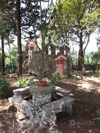 Casa in campagna con pineta