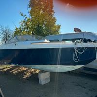 Cigala bertinetti akis 24