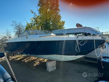 Cigala bertinetti akis 24