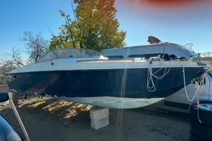 Cigala bertinetti akis 24