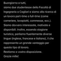 Cameriere, lavapiatti, commesse