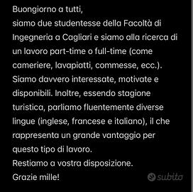 Cameriere, lavapiatti, commesse