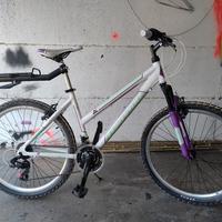 MTB Torpado Stormo 26' donna