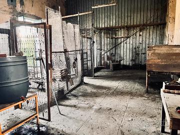Magazzino - cascinale