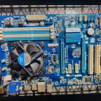 scheda madre e processore