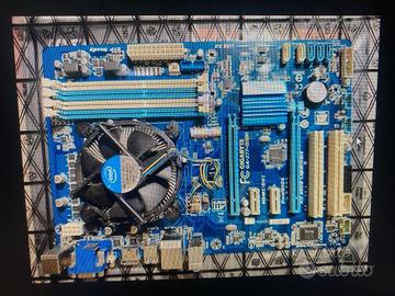 scheda madre e processore