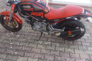 Ducati monster