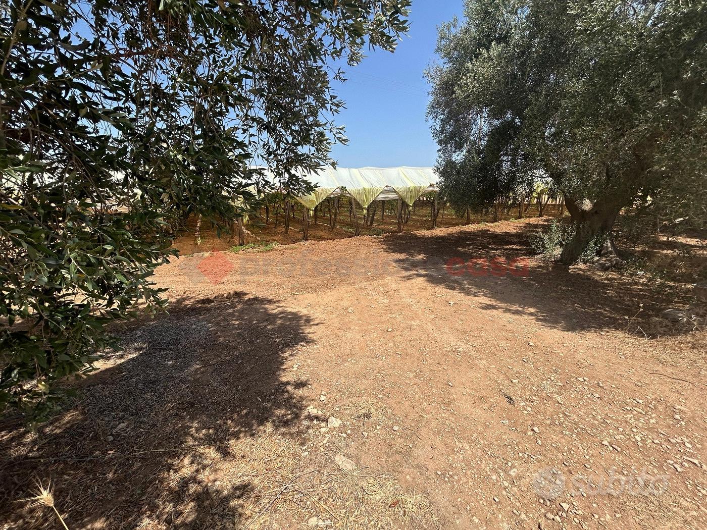 Terreno Agricolo Grottaglie [LM2586VCG] - Vista 5