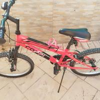 Bici bimbo 20 pollici