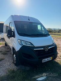 Opel Movano 2.2 160CV Euro6 L3H2 - 2022