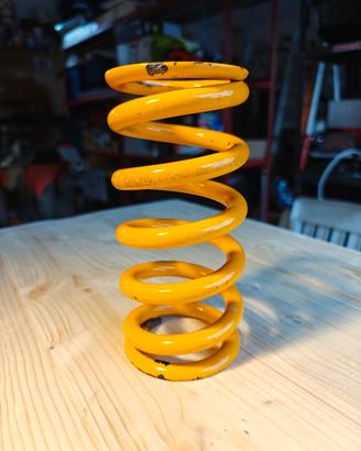 Molla Öhlins 21040-29/90 per Mono TTX