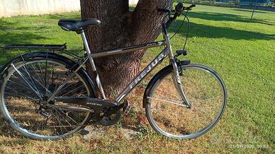 City Bike uomo