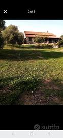 In campagna a guspini