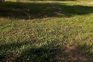 In campagna a guspini