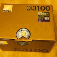 D3100