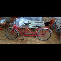 Tandem Bottecchia / Carnielli anni '80