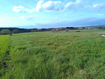 043a terreno agricolo, campo, coltivazioni 18000mq