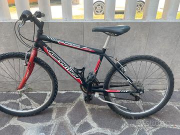 Mountabike taglia 24