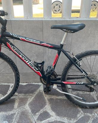 Mountabike taglia 24
