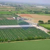 Azienda agricola avicola