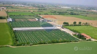 Azienda agricola avicola