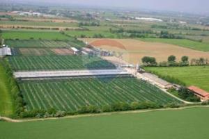 Azienda agricola avicola