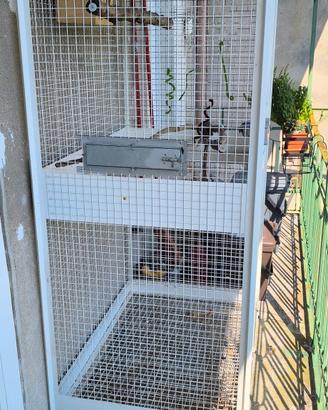 gabbia per uccelli 
