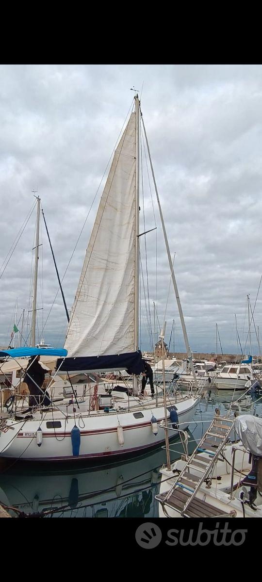 CBS Harmony 31 — View photo 1