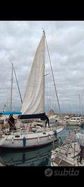 Barca a vela CBS Harmony 31, natante lunghezza 9,3
