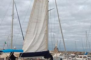 Barca a vela CBS Harmony 31, natante lunghezza 9,3