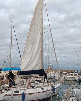 Barca a vela CBS Harmony 31, natante lunghezza 9,3