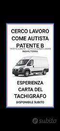Autista patente b