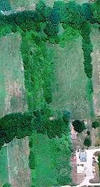 Terreno Agricolo Pianeggiante 14.000 mq con Pozzo