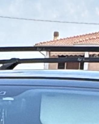 Barre tetto universali