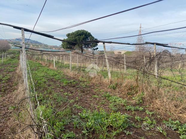 TER. AGRICOLO A SAN CESAREO