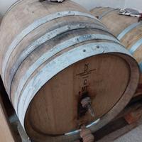 Botte di rovere - 230 litri