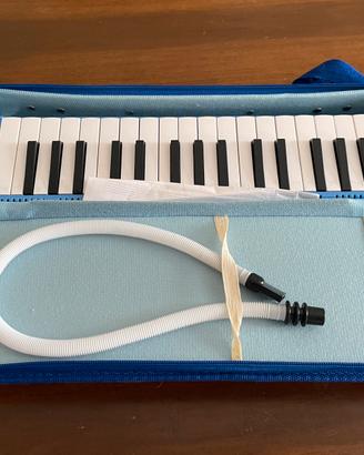Clavietta bontempi