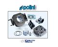 kit-gruppo-polini-d-47-evolution-big-valve-ghisa