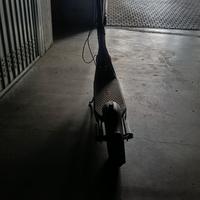 Monopattino Ninebot F2 