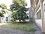 Immagine 10