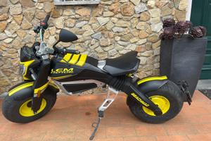 Lem beach mad TARGATO elettrico