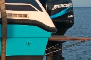 Mercury optimax 200cv