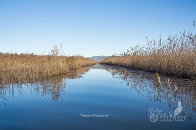 Terreno uso caccia nel Padule di Fucecchio
