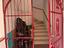 Immagine 16