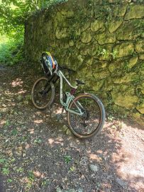 Reign Giant 29sx 2022