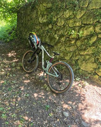 Reign Giant 29sx 2022