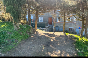 Appartamento Indipendente