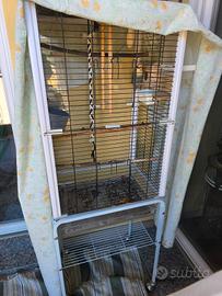 Pappagallo inseparabile con voliera