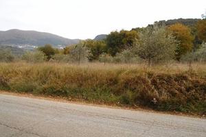 Terreno di 4080 m² a Spoleto